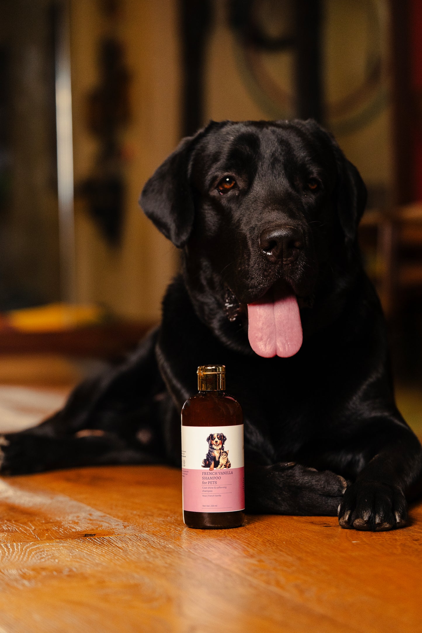 French Vanilla Shampoo for Pets
