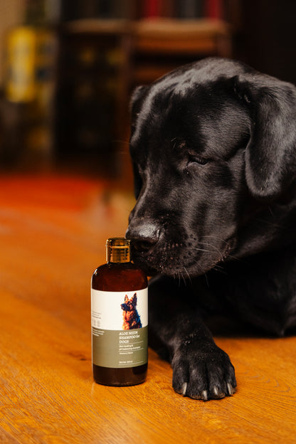 Aloe Neem Shampoo for Dogs