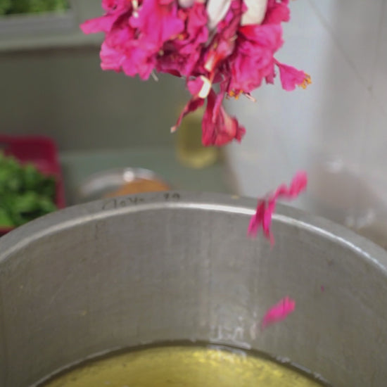 HIBISCUS HAIR OIL Colour Restoration & Hair Softening short video